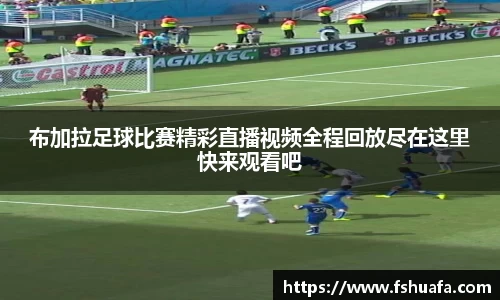ng28体育官网