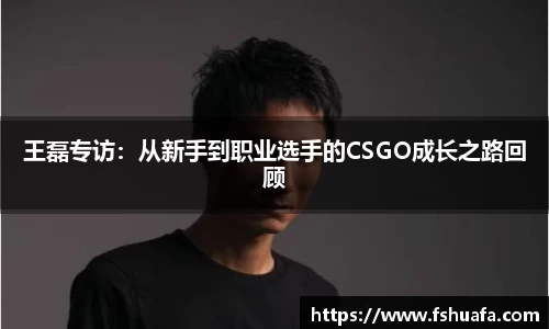 ng28体育网址