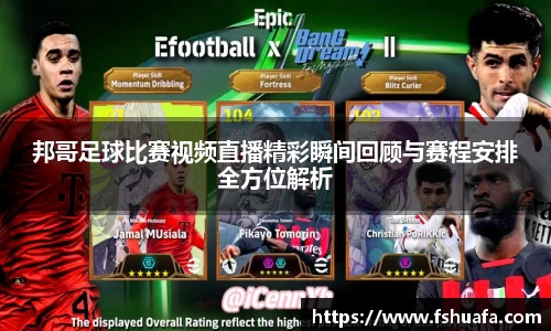 ng28体育网址
