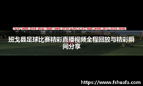 ng28体育官网
